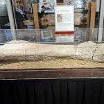 2023OTRA_062 (April 23, 2023)